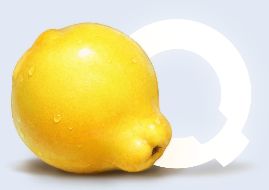 Quince fruit
